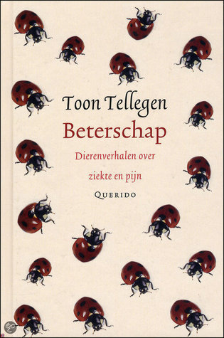 Beterschap book cover