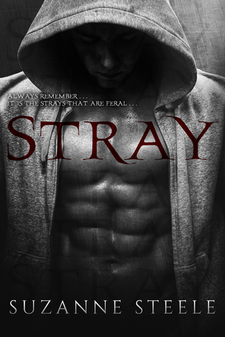 Stray book cover