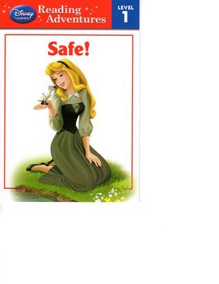 Safe! book cover