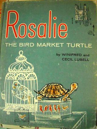 Rosalie the Bird Market Turtle