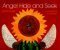 Angel Hide and Seek book cover
