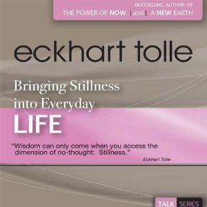 Bringing Stillness into Everyday Life book cover