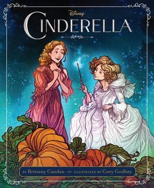 Cinderella Picture Book book cover