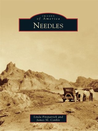 Needles book cover