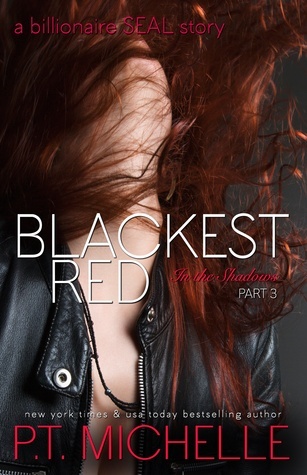 In the Shadows book cover 3
