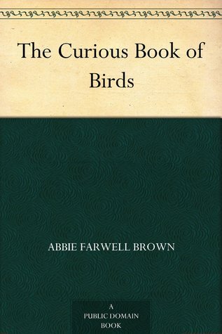 The Curious Book of Birds book cover