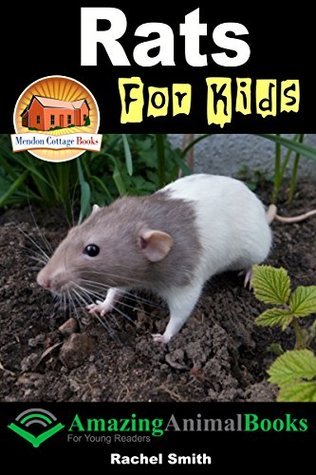 Rats For Kids by Rachel Smith | Goodreads