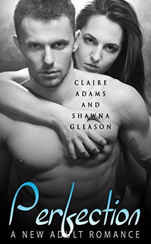 Perfection #1 book cover