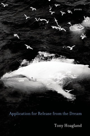 Application for Release from the Dream book cover