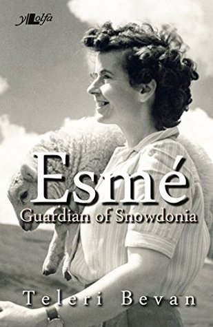 Esme: Guardian of Snowdonia