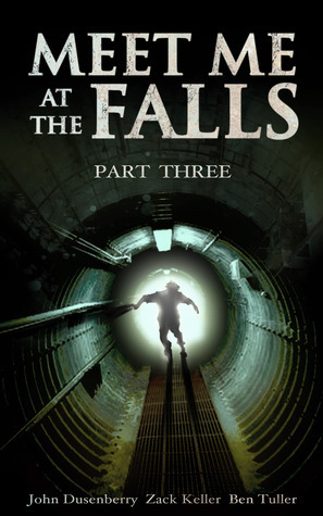 Meet Me At The Falls book cover 3