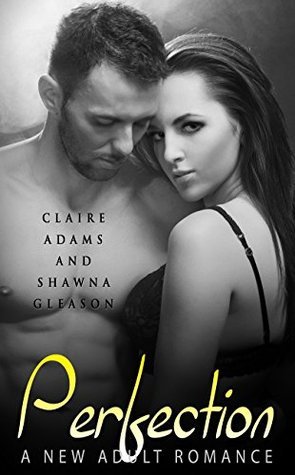 Perfection #2 book cover