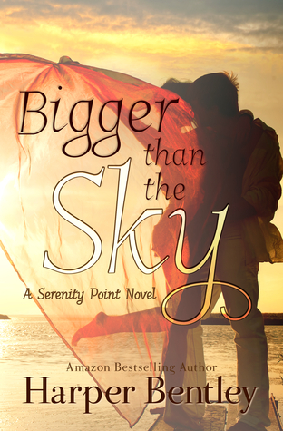 Cover of Bigger Than the Sky