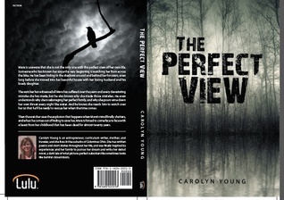 The Perfect View book cover