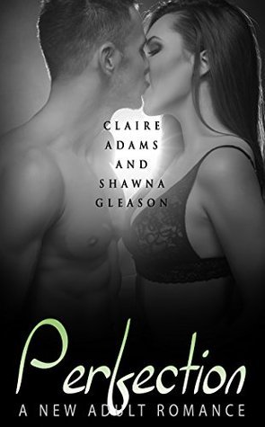 Perfection #4 book cover
