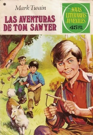 Las aventuras de Tom Sawyer book cover