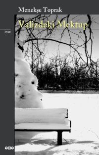 Valizdeki Mektup book cover