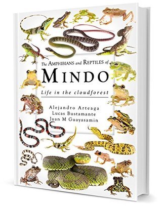 The Amphibians and Reptiles of Mindo by Lucas M. Bustamante Alejandro