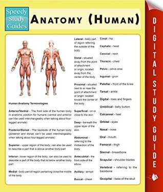 LEARN HUMAN ANATOMY THE FASTEST MOST ENGAGING AND GUIDED visual data 6