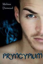 Pryncypium book cover