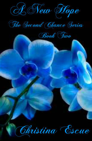 The Second Chance book cover 2
