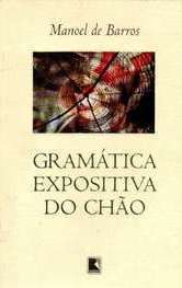 Gramática expositiva do chão book cover