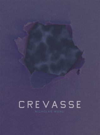 Crevasse book cover