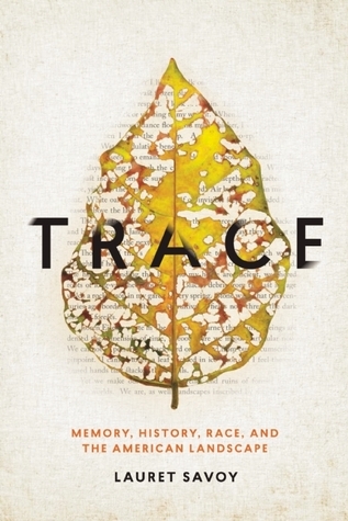 Trace: Memory, History, Race and the American Landscape