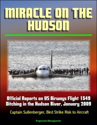 Miracle on the Hudson: Official Reports on US Airways Flight 1549