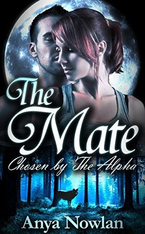 Smutty Shifter Shorts book cover 1