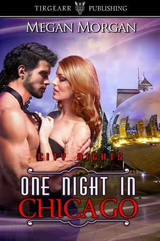 One Night in Chicago book cover