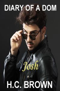 Diary of a Dom book cover 1