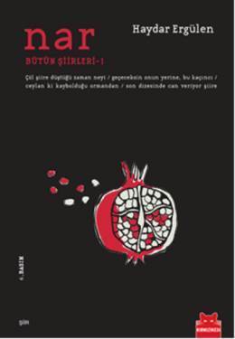 Bütün Şiirleri book cover 1