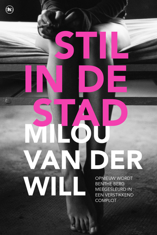 Benthe Berg book cover 2