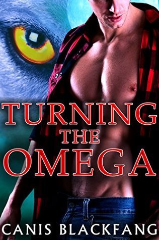 Turning the Omega book cover