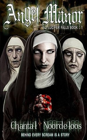 Angel Manor book cover