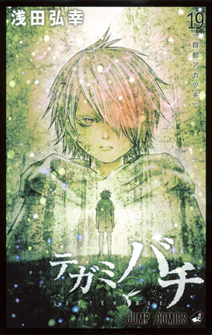 テガミバチ 19 book cover