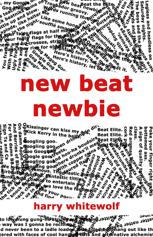 New Beat Newbie book cover