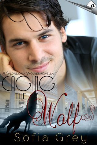 Caging The Wolf book cover