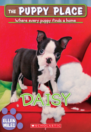 Daisy book cover