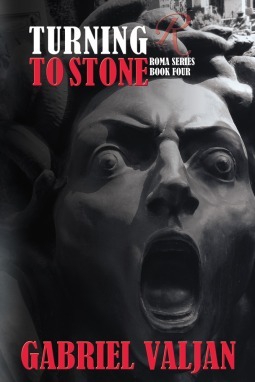 Turning to Stone book cover