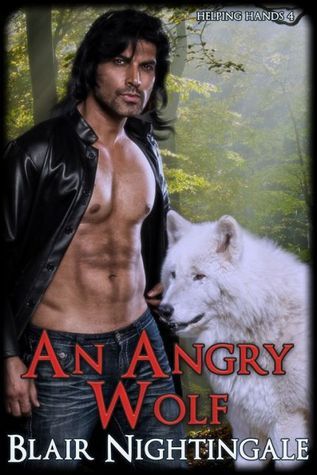An Angry Wolf book cover