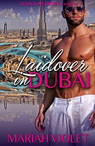 Laidover in Dubai (Book 1 in Teach Me, Love Me Series) book cover