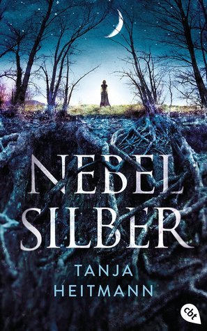 Nebelsilber book cover