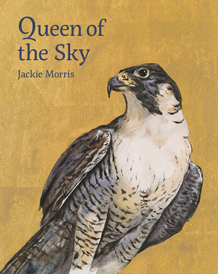 Queen of the Sky book cover
