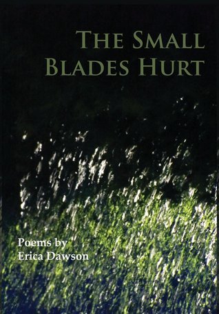 The Small Blades Hurt book cover