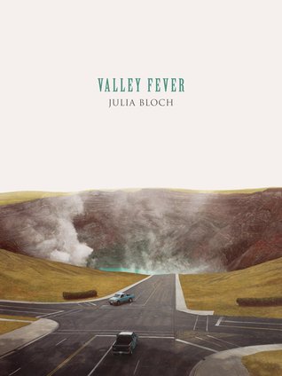 Valley Fever book cover