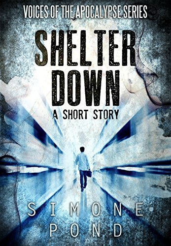 Shelter Down book cover
