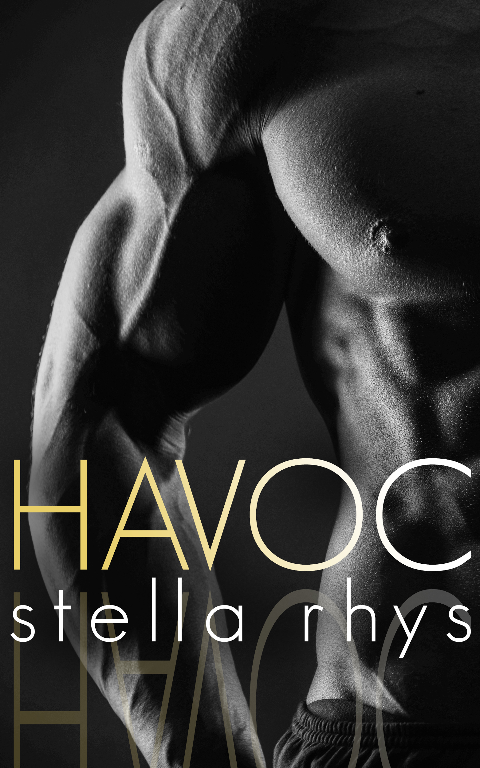 Havoc book cover 1