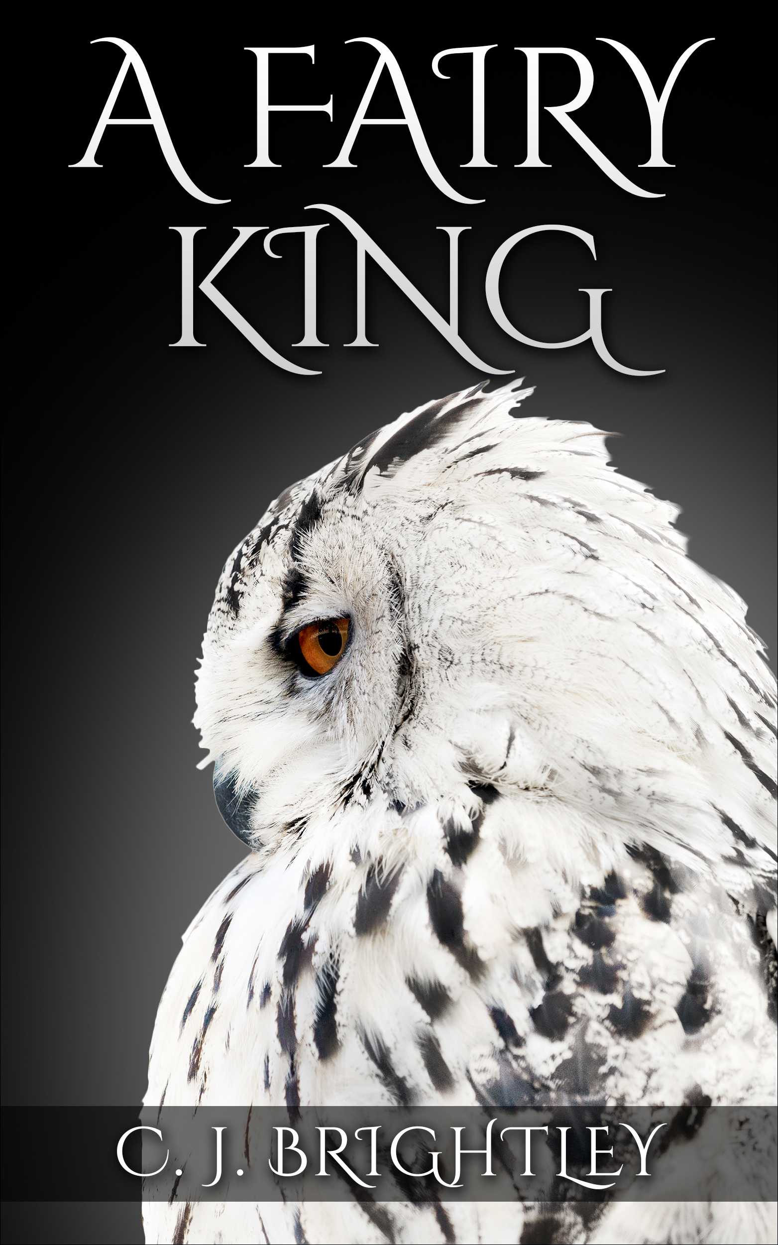 A Fairy King book cover